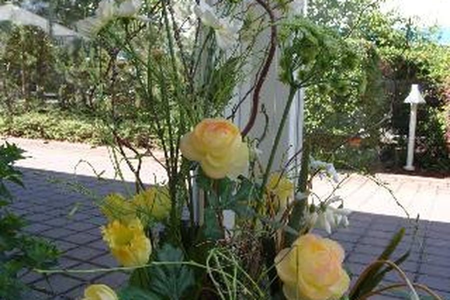 foto-0