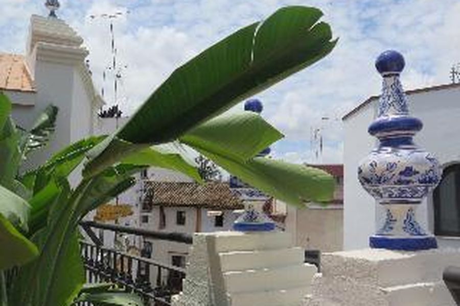 foto-2