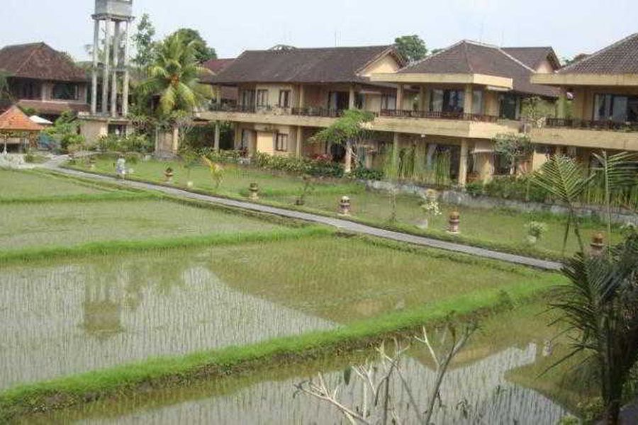 foto-3