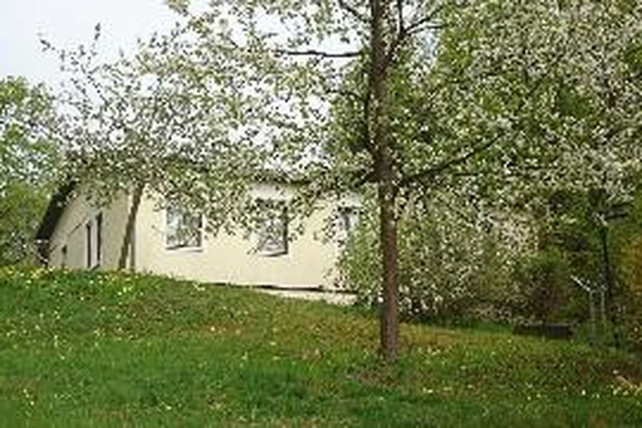 foto-3