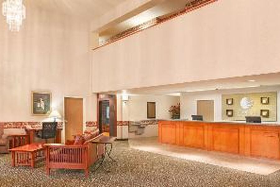 photo-1