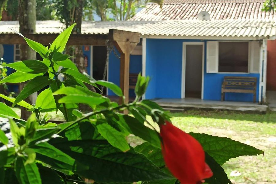 foto-1