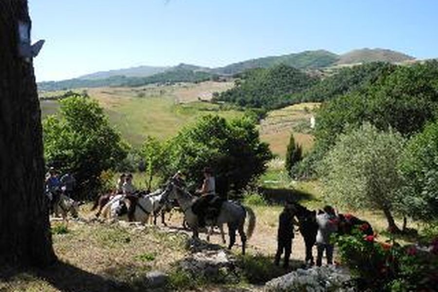 photo-2