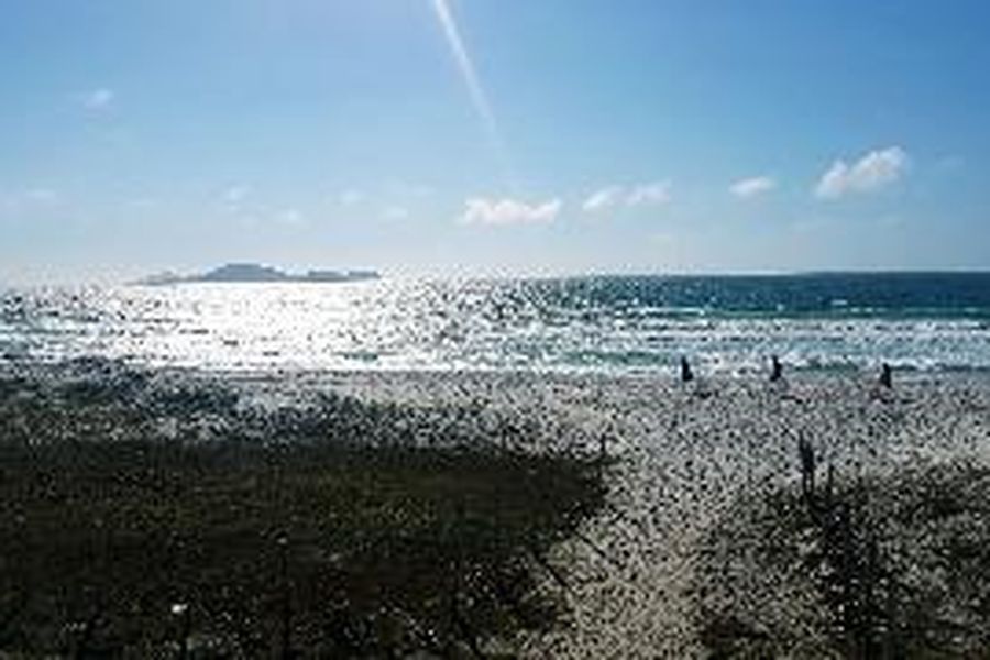 photo-1