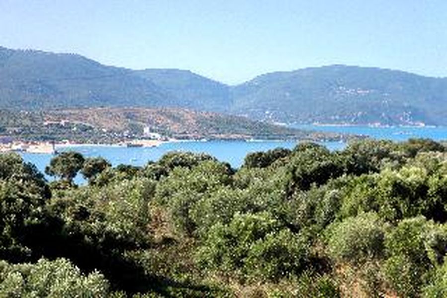 foto-2