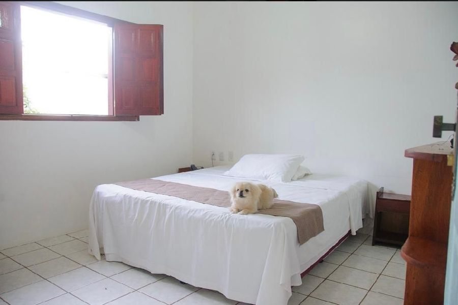 foto-2