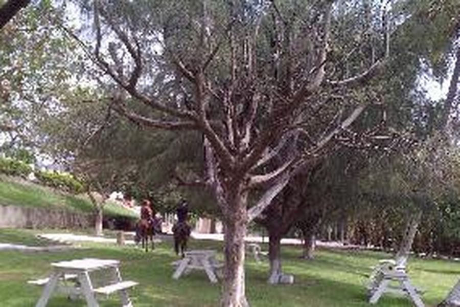 foto-3