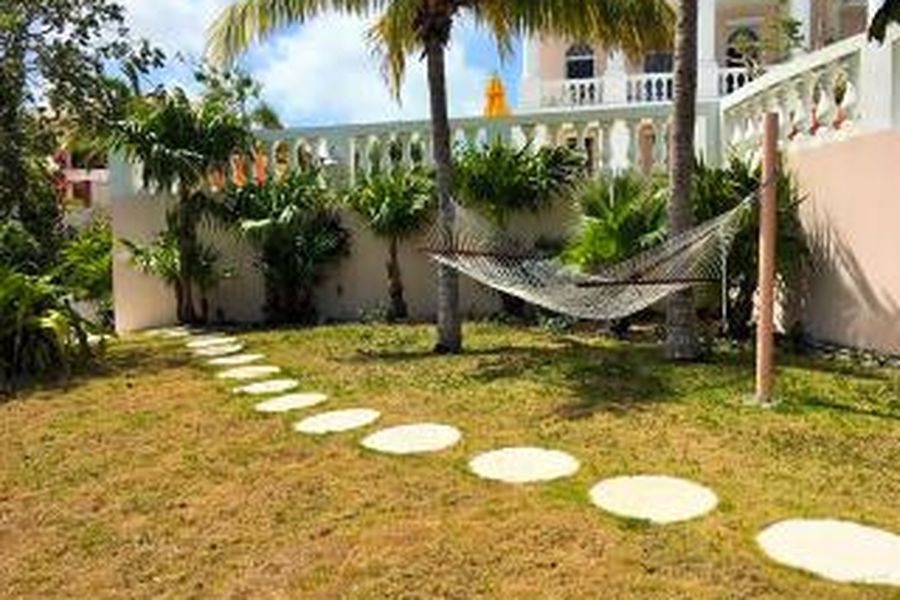 photo-1