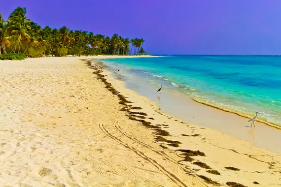 Punta Cana