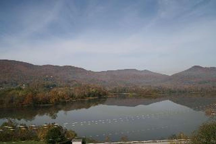 photo-3
