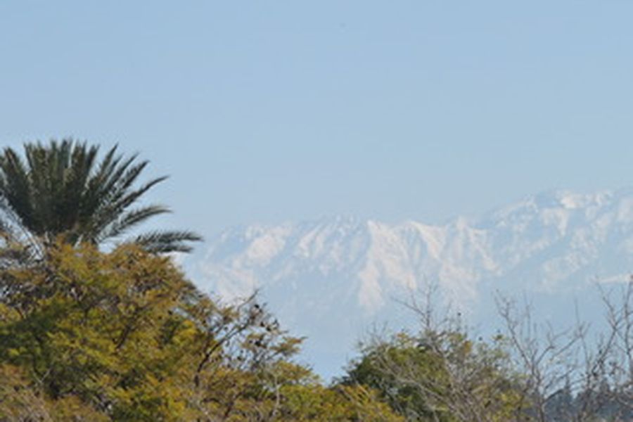 foto-1