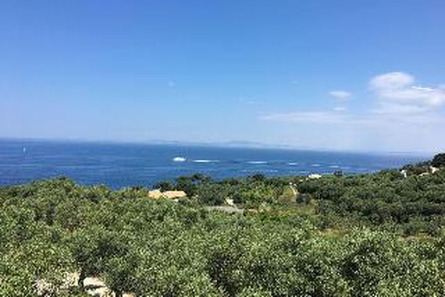 foto-1