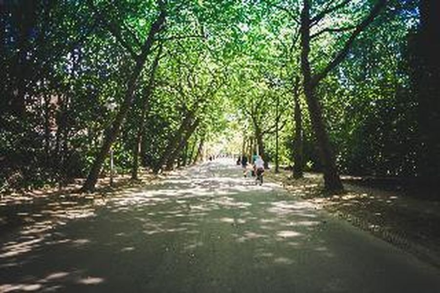 foto-2