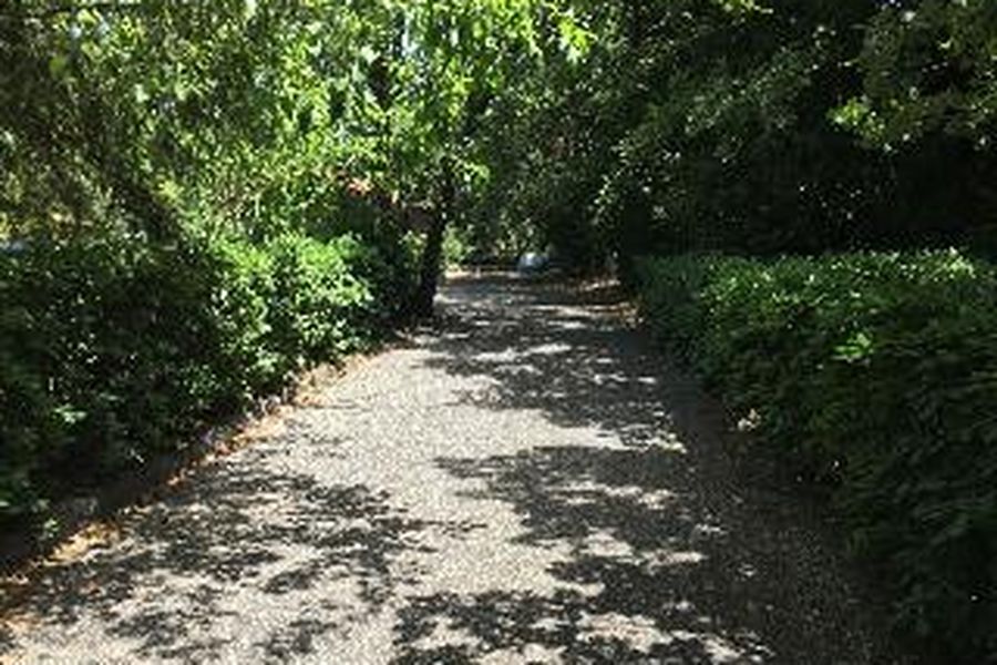 foto-1