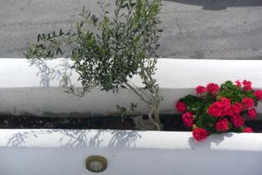 foto-2