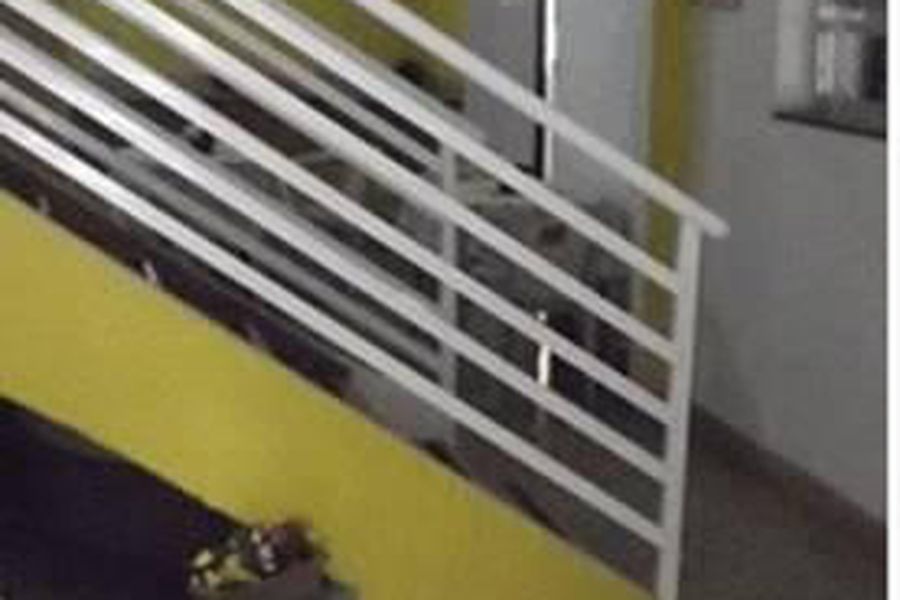 foto-1