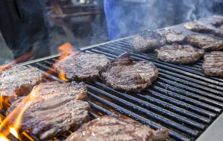 Cowboy Cookout: passeio de carroça de Banff