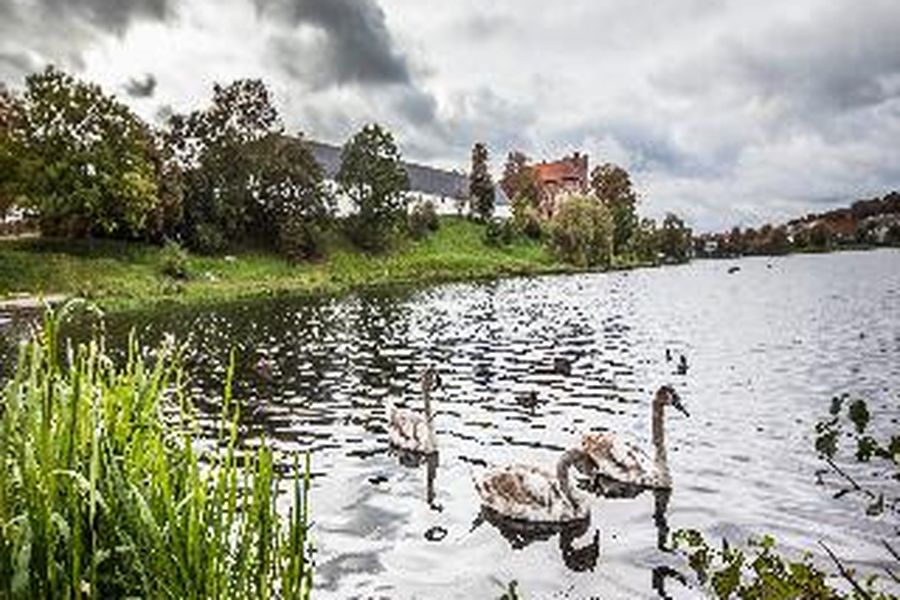 photo-1